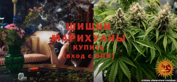 гидра Слюдянка
