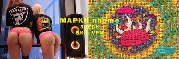хмурый Алексеевка