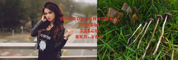 хмурый Алексеевка