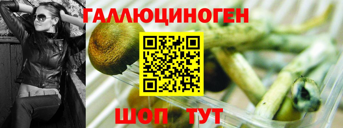 Галлюциногенные грибы мухоморы  Вход с VPN  Карабулак 