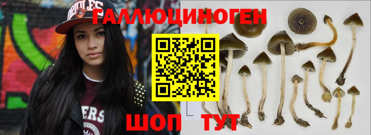 Галлюциногенные грибы GOLDEN TEACHER Карабулак